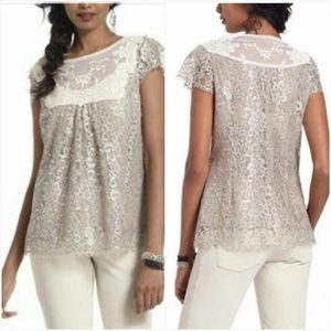 Anthropologie HD in Paris Metallic Lace Top